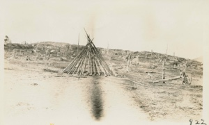 Image of Nascopie Indian [Innu] - Lodge poles